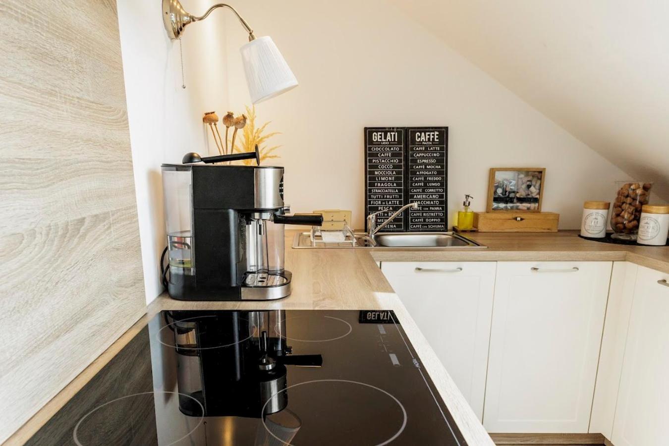 Queen Flat In Old Town With Castle View Pressburg Exterior foto